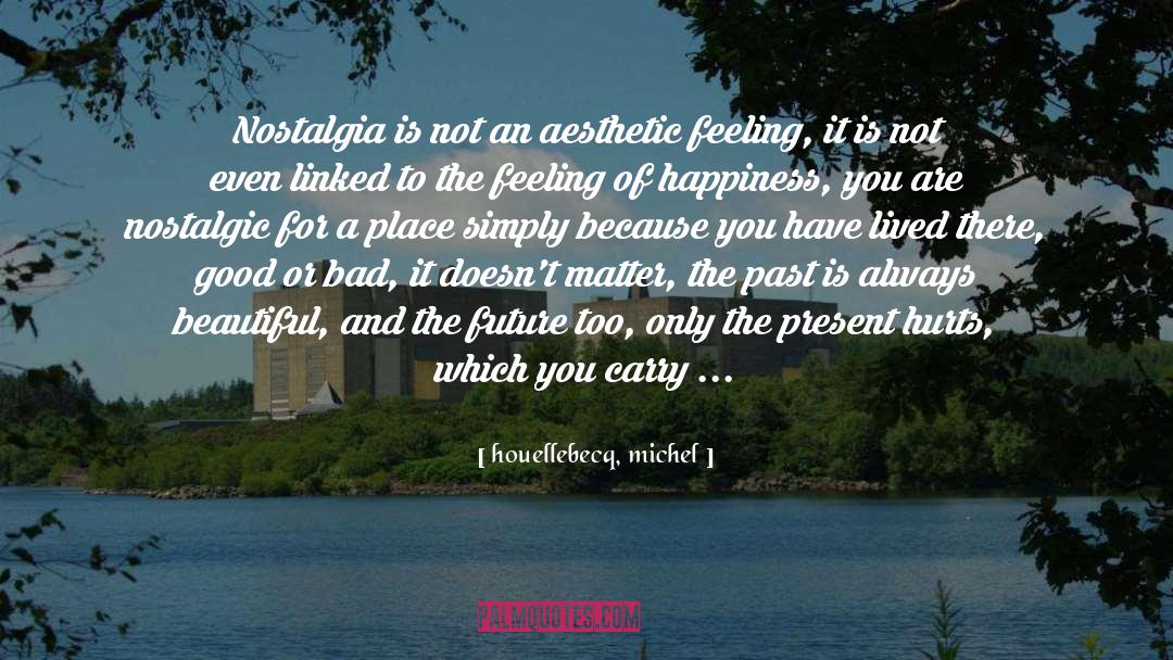 Feeling Nostalgic Life quotes by Houellebecq, Michel