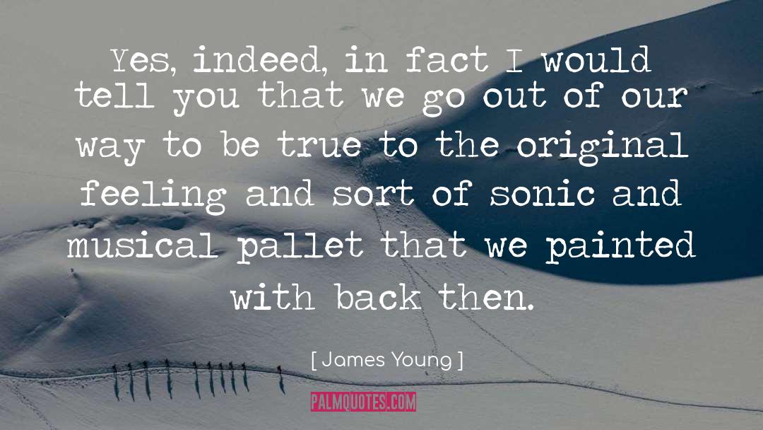 Feeling Of Inferiority quotes by James Young