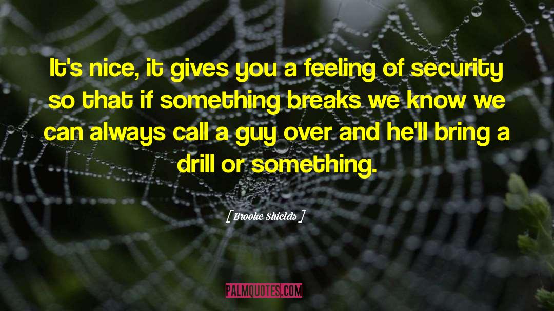 Feeling Of Security quotes by Brooke Shields