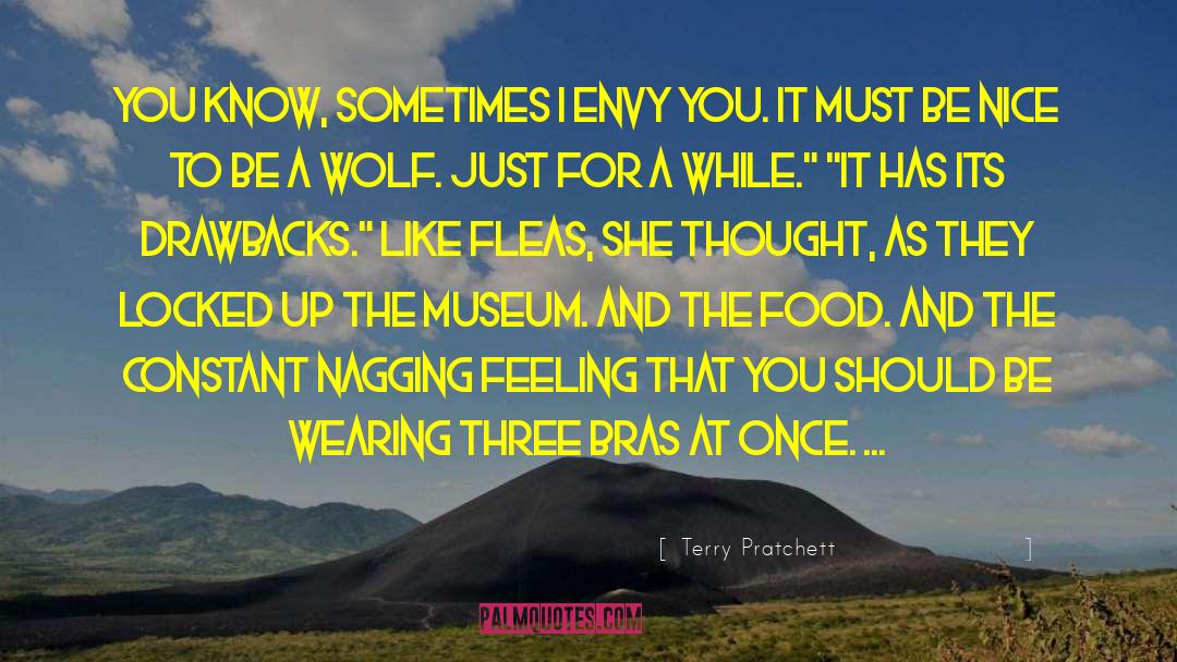 Feeling Old quotes by Terry Pratchett