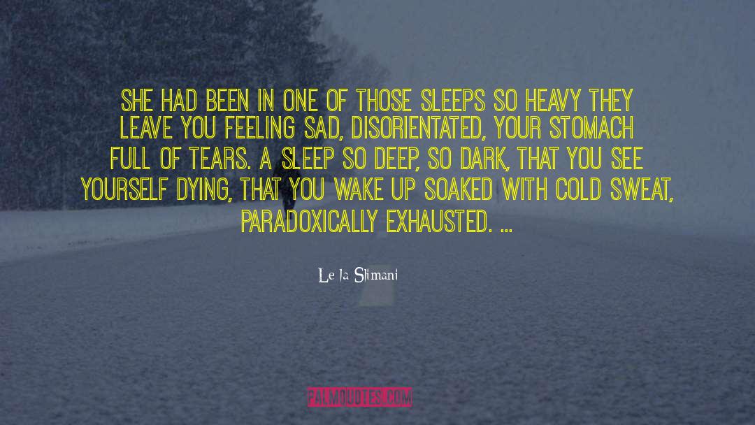 Feeling Sad quotes by Leïla Slimani