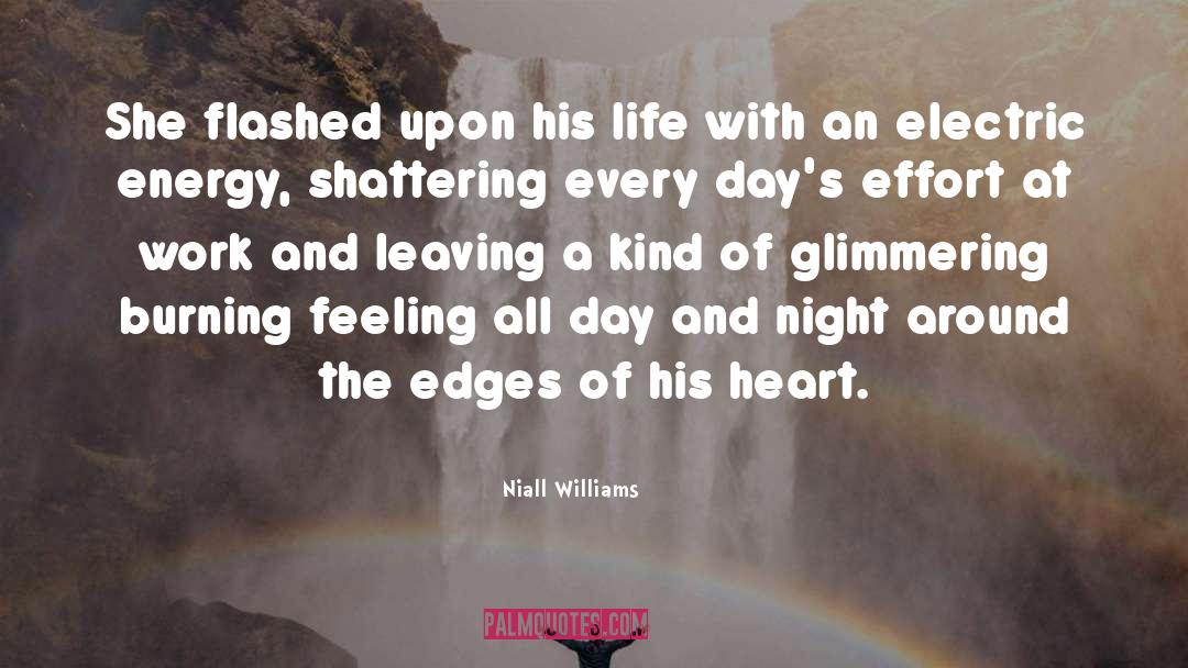 Feeling Sick quotes by Niall Williams