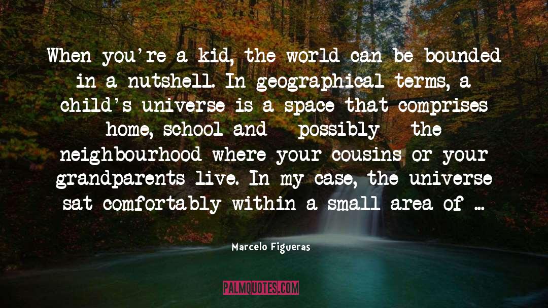 Feeling Small In A Big World quotes by Marcelo Figueras