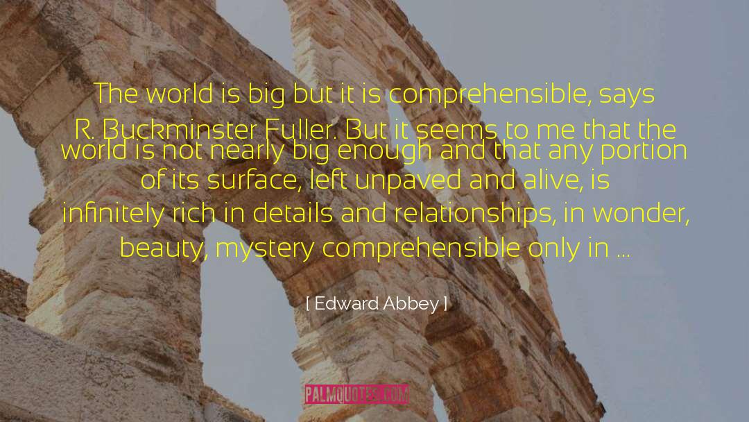 Feeling Small In A Big World quotes by Edward Abbey