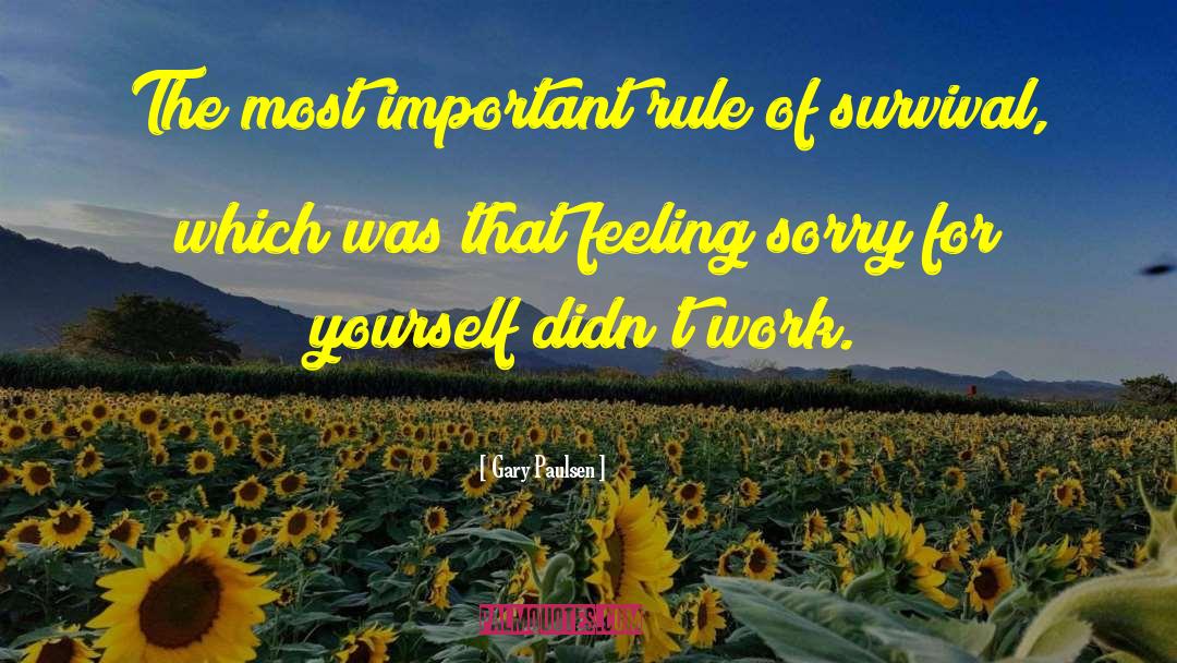 Feeling Sorry For Yourself quotes by Gary Paulsen