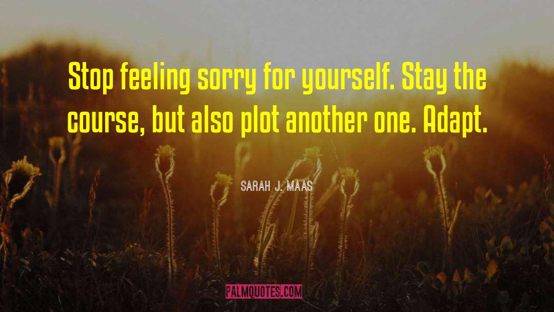Feeling Sorry Yourself quotes by Sarah J. Maas