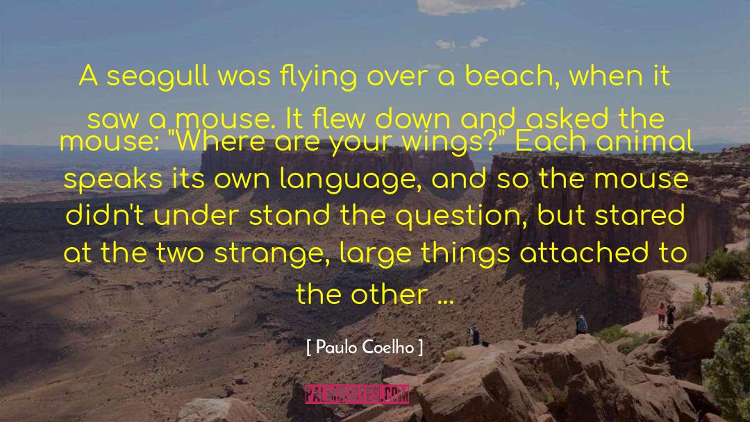 Feeling Things Very Strongly quotes by Paulo Coelho