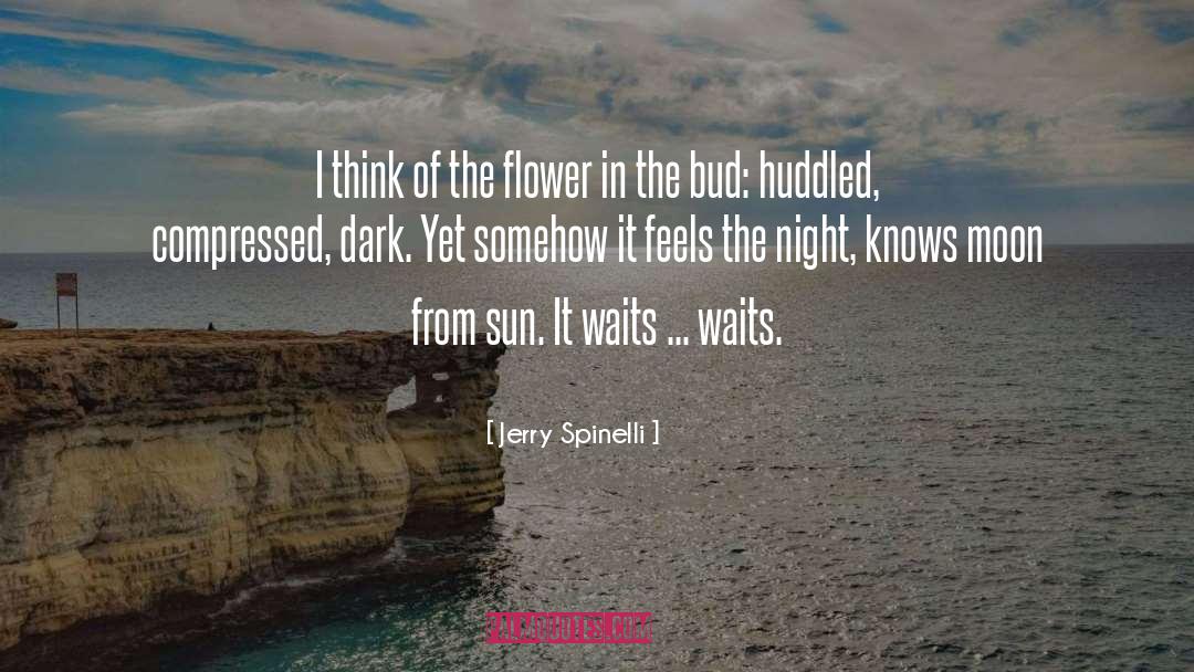 Feels quotes by Jerry Spinelli