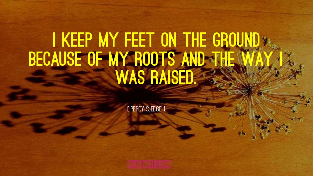 Feet On The Ground quotes by Percy Sledge