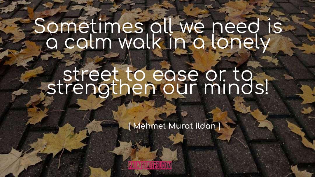 Feldt Street quotes by Mehmet Murat Ildan