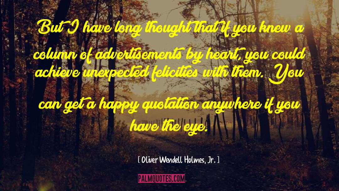 Felicity quotes by Oliver Wendell Holmes, Jr.