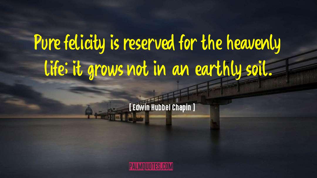 Felicity Worthington quotes by Edwin Hubbel Chapin