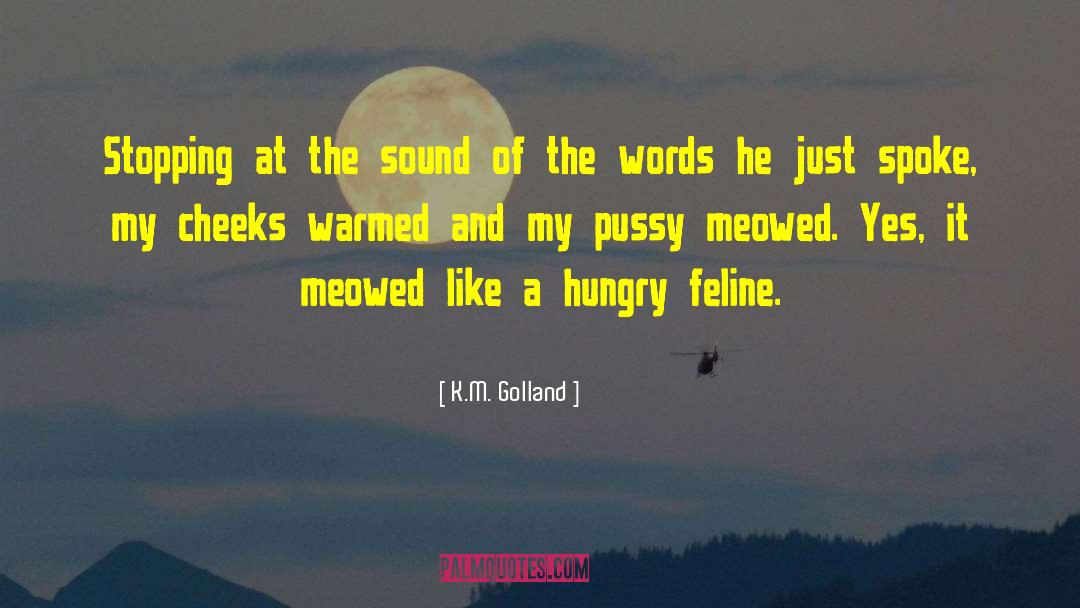 Feline quotes by K.M. Golland