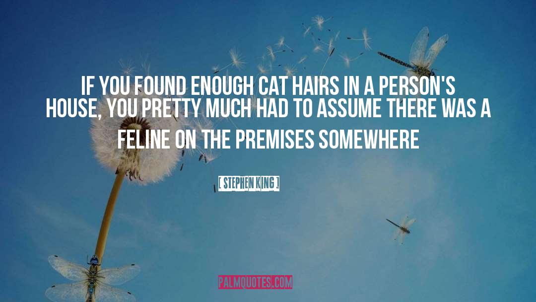 Feline quotes by Stephen King