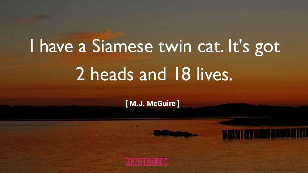 Feline quotes by M.J. McGuire