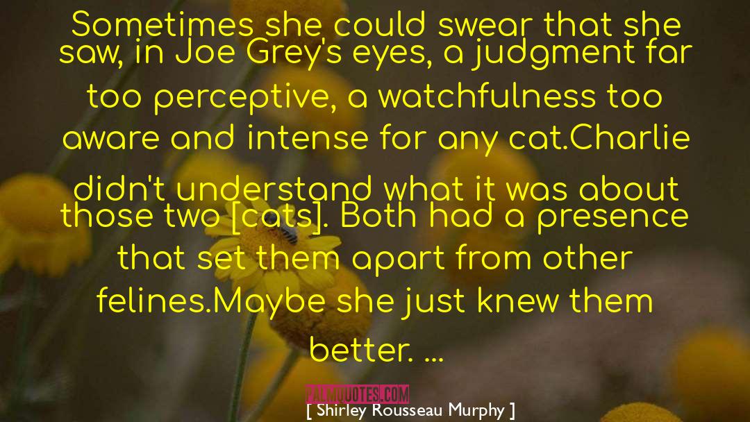 Felines quotes by Shirley Rousseau Murphy