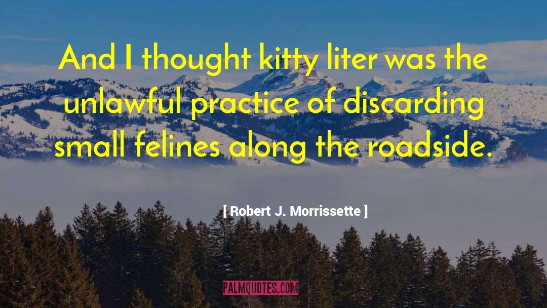 Felines quotes by Robert J. Morrissette