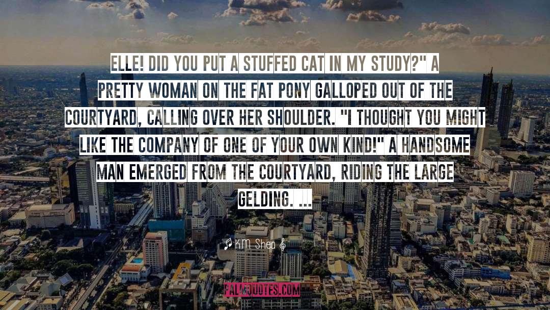 Felines quotes by K.M. Shea