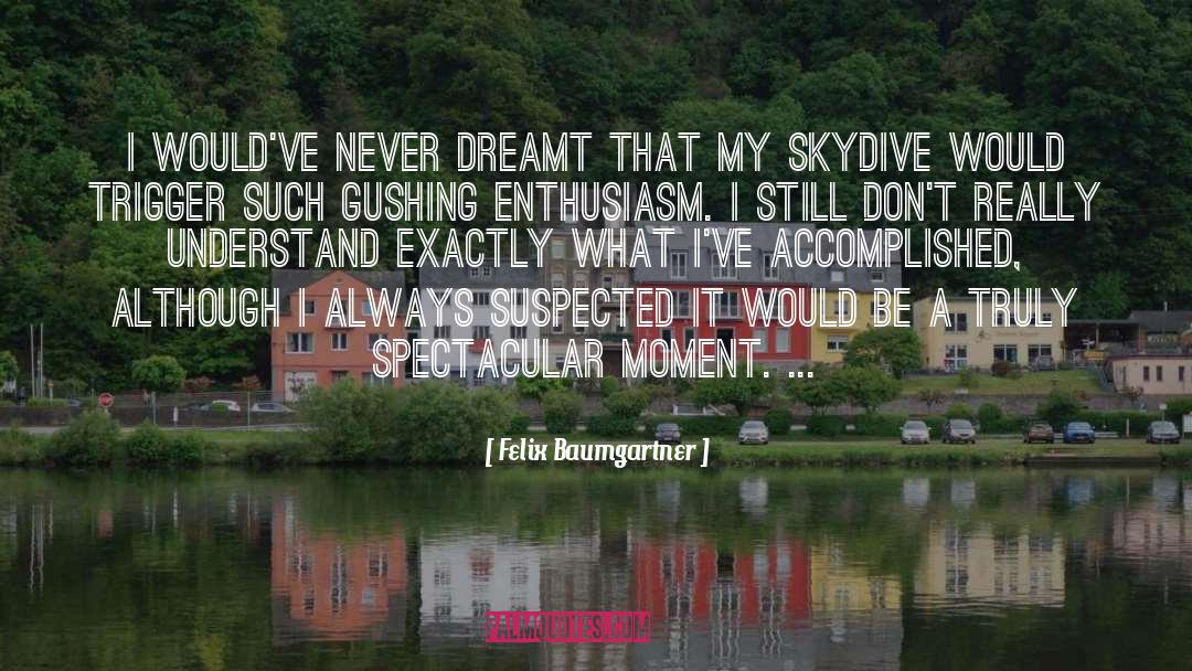 Felix Okoye quotes by Felix Baumgartner