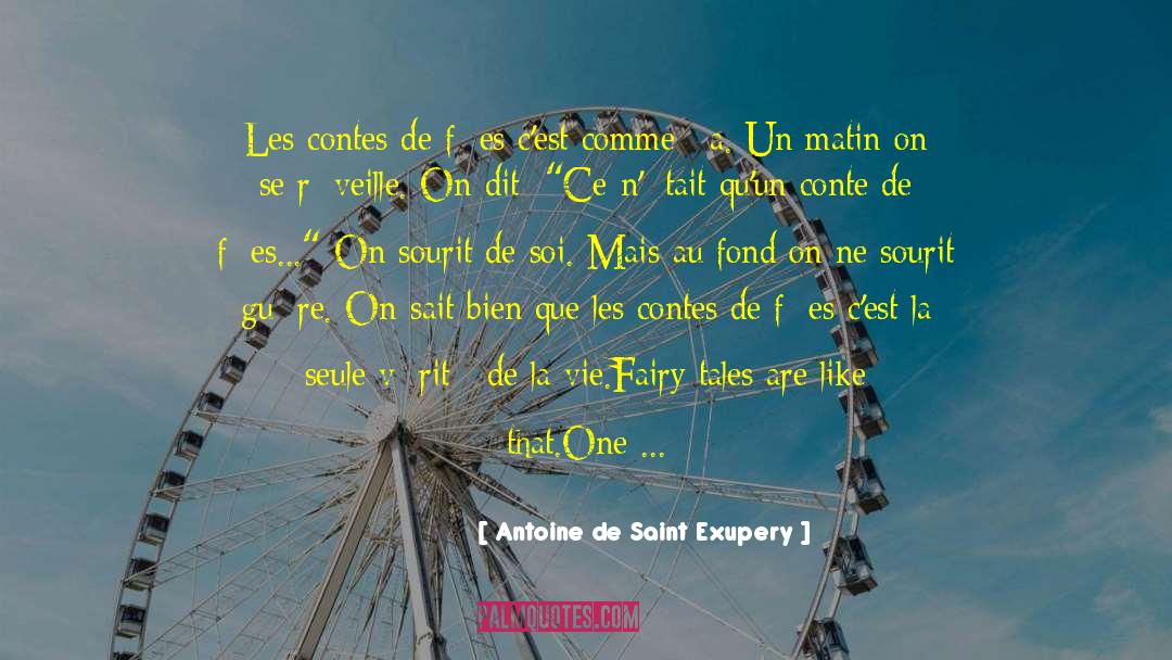 Fell De Se quotes by Antoine De Saint Exupery