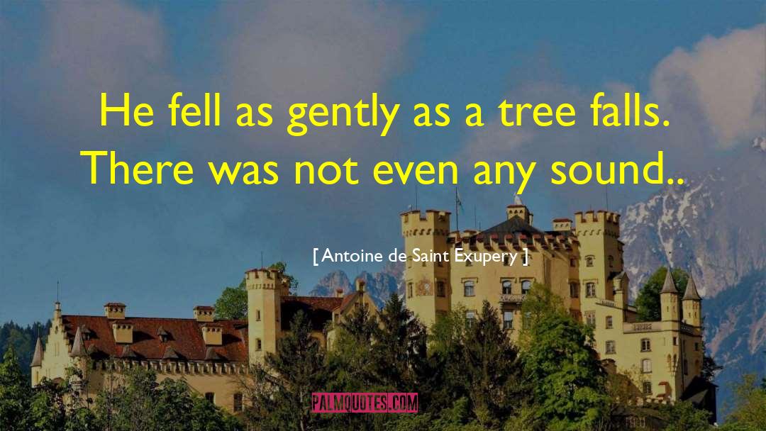 Fell De Se quotes by Antoine De Saint Exupery