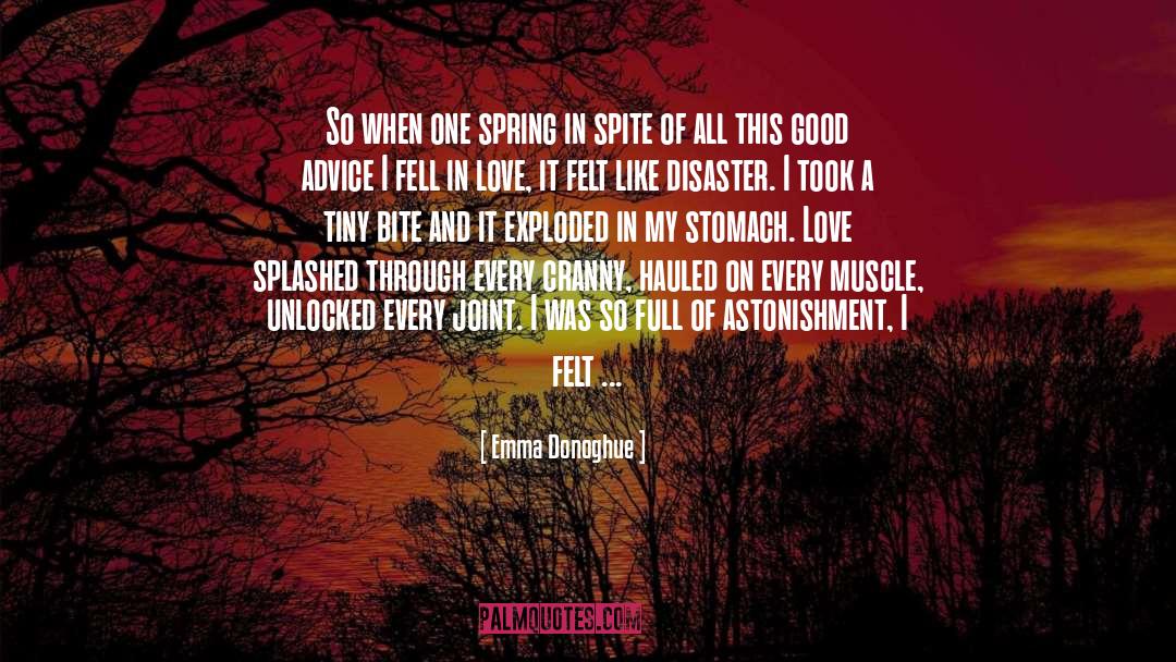 Fell In Love quotes by Emma Donoghue