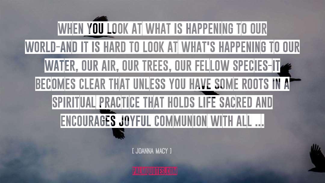Fellow Beings quotes by Joanna Macy