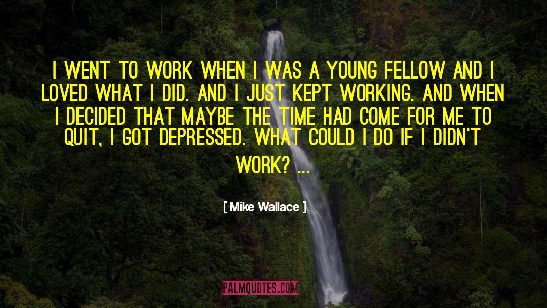 Fellow Soldiers quotes by Mike Wallace