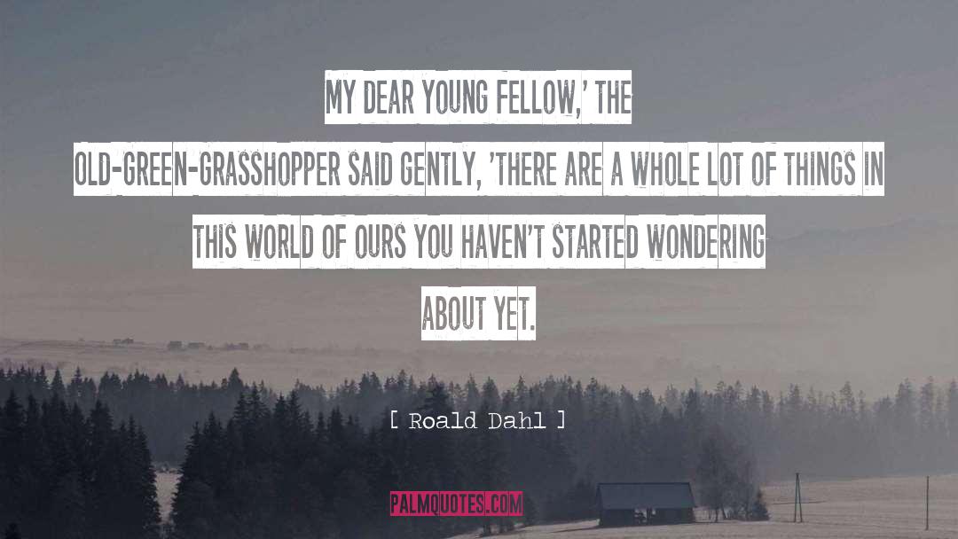 Fellow Travelers quotes by Roald Dahl