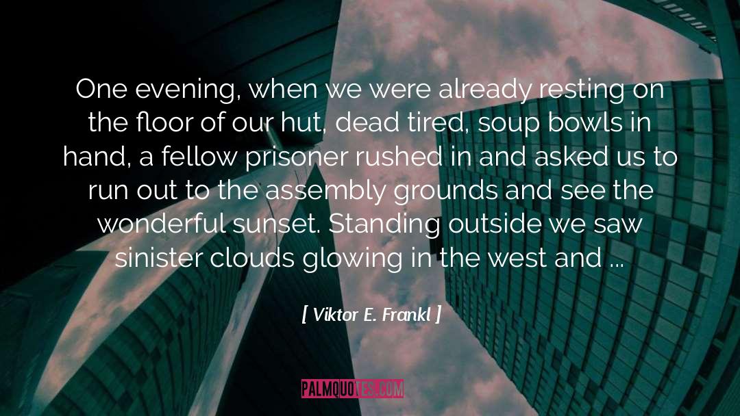 Fellow Travelers quotes by Viktor E. Frankl