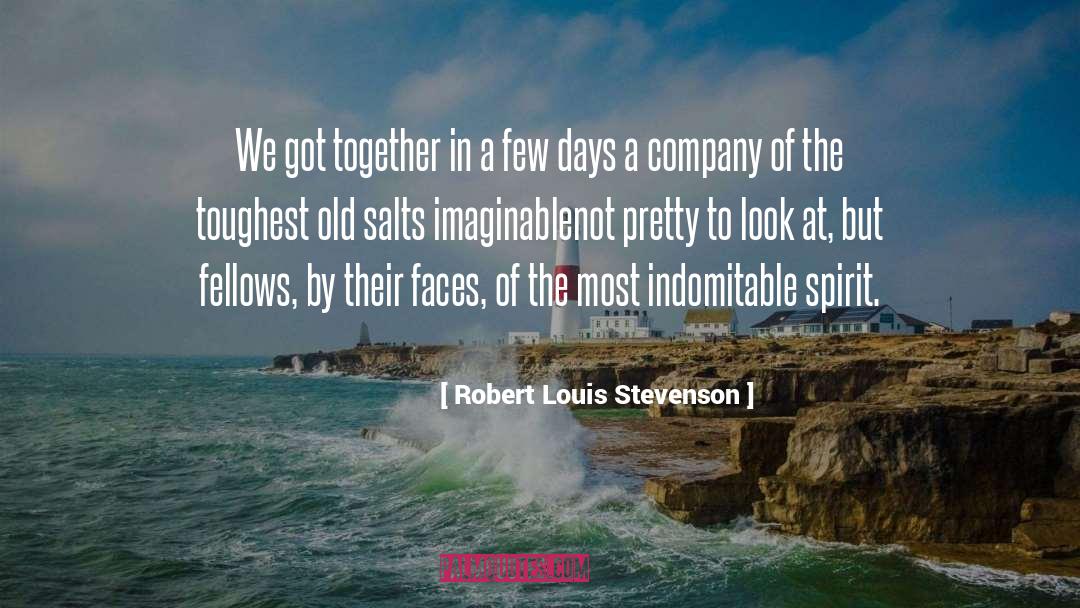 Fellows quotes by Robert Louis Stevenson