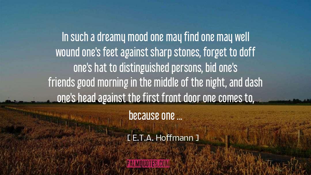 Felonies Against Persons quotes by E.T.A. Hoffmann