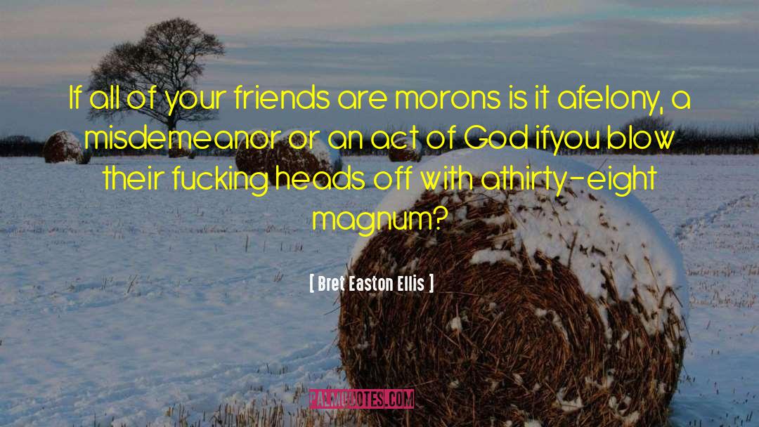 Felony quotes by Bret Easton Ellis