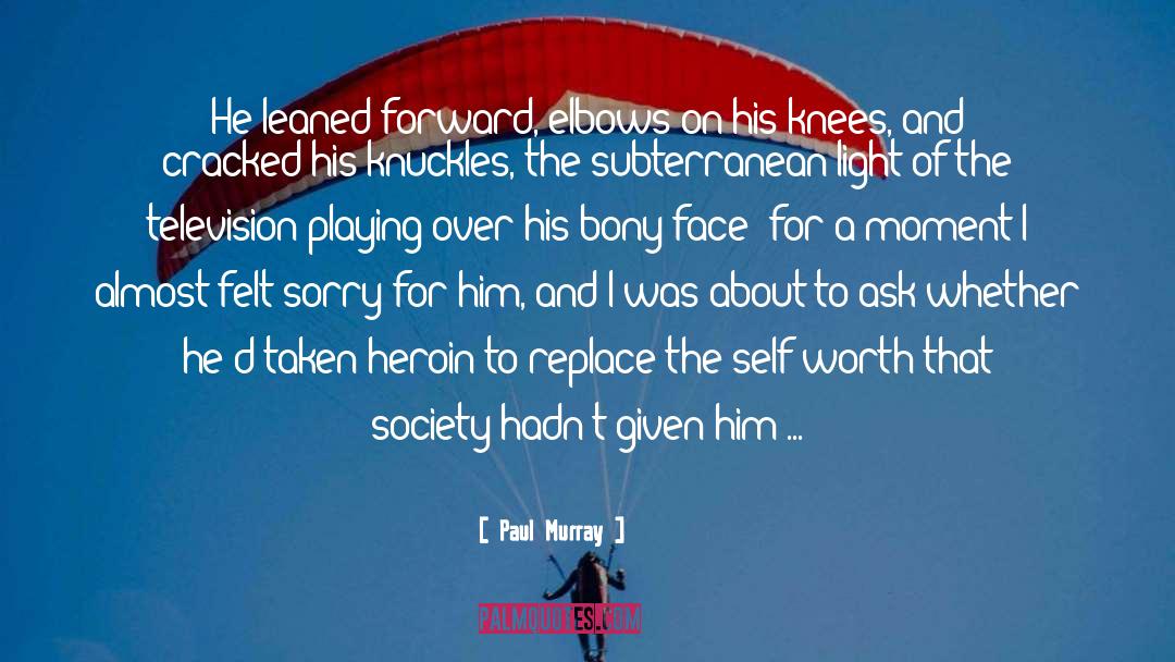 Felt Sorry quotes by Paul Murray