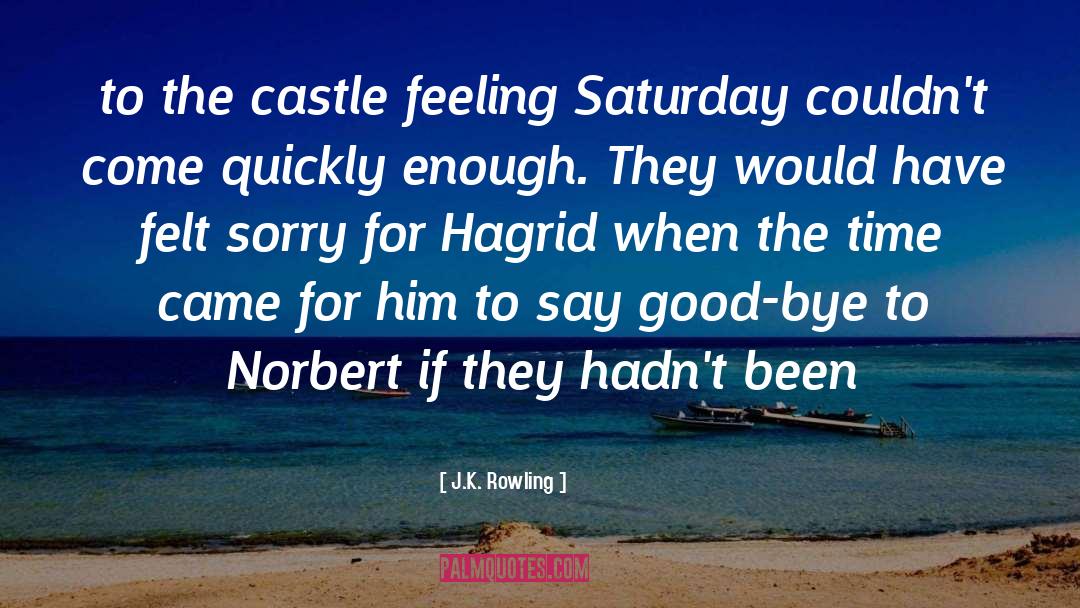 Felt Sorry quotes by J.K. Rowling