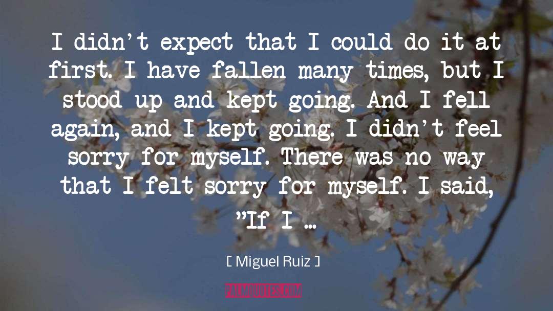 Felt Sorry quotes by Miguel Ruiz