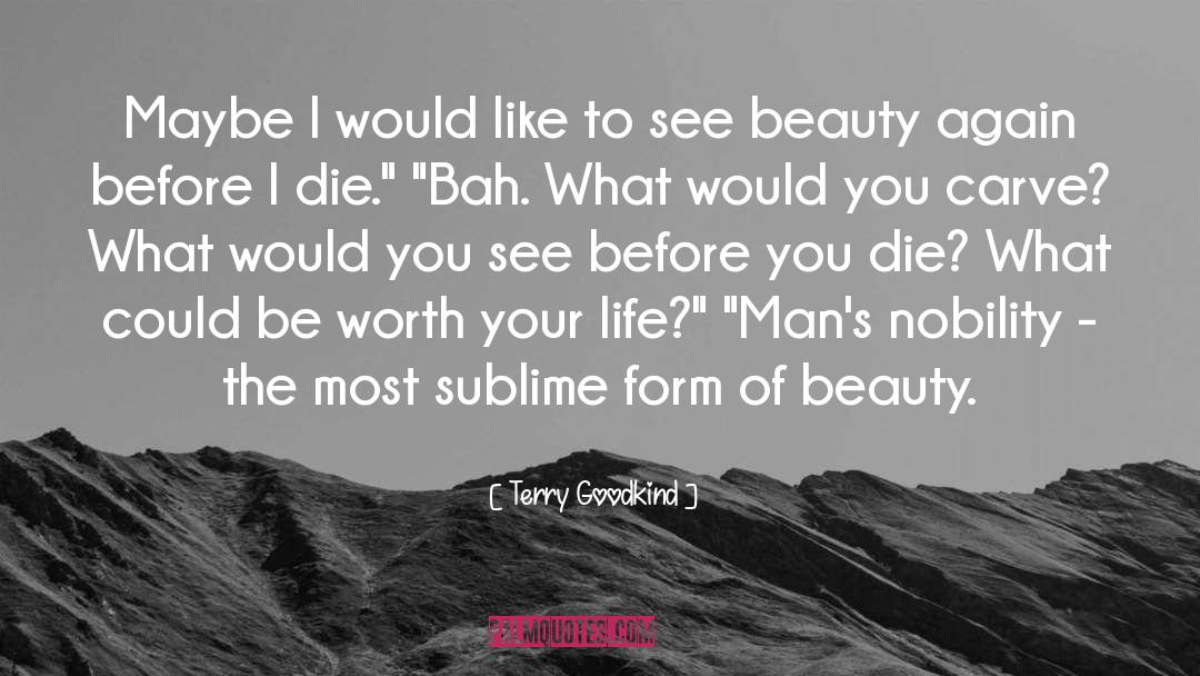 Female Beauty quotes by Terry Goodkind