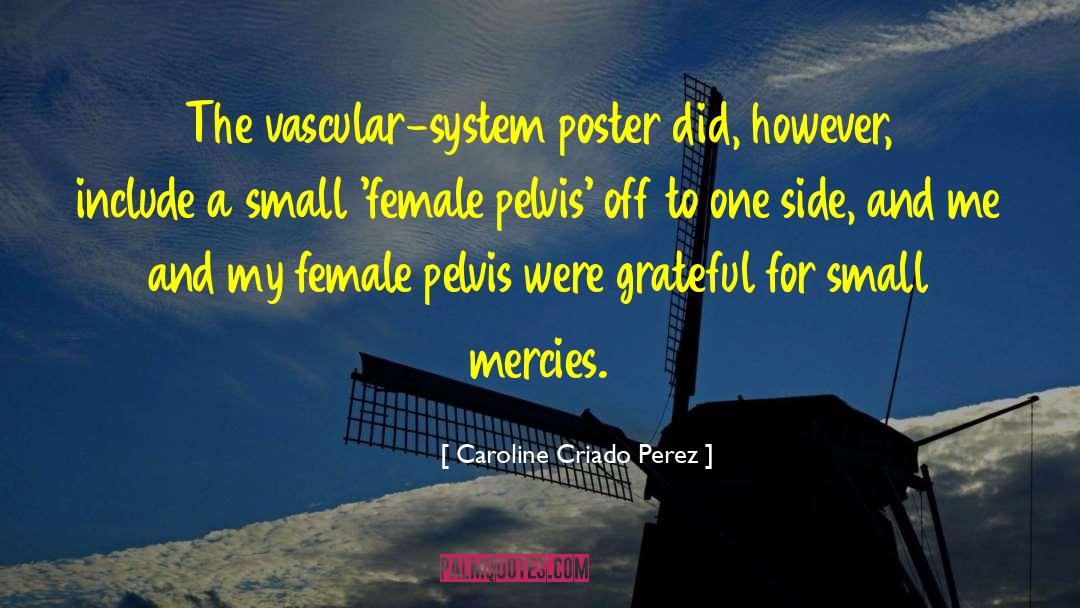 Female Pelvis quotes by Caroline Criado Perez