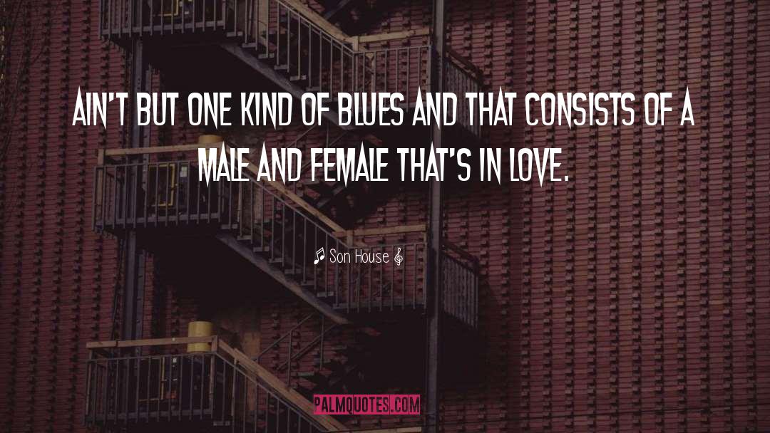Female Priests quotes by Son House