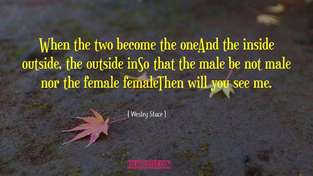 Female Sexuality quotes by Wesley Stace