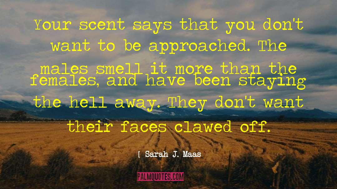 Females quotes by Sarah J. Maas