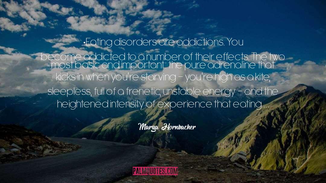 Feminism Eating Disorders quotes by Marya Hornbacher