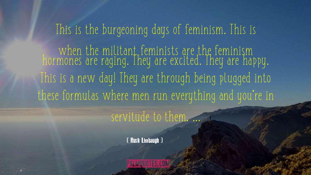 Feminism Lite quotes by Rush Limbaugh