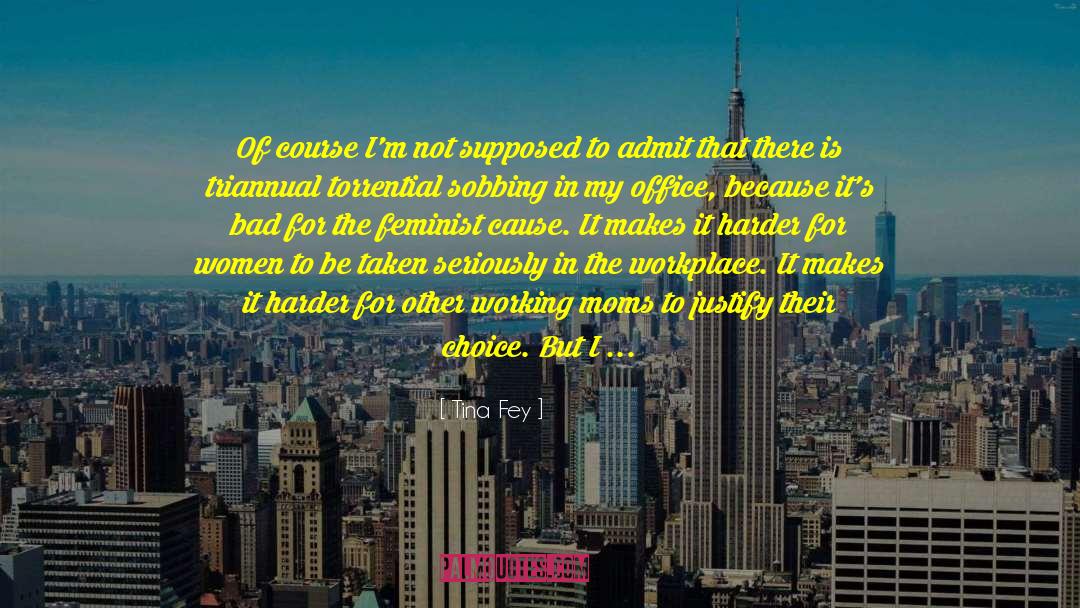 Feminist Blog quotes by Tina Fey