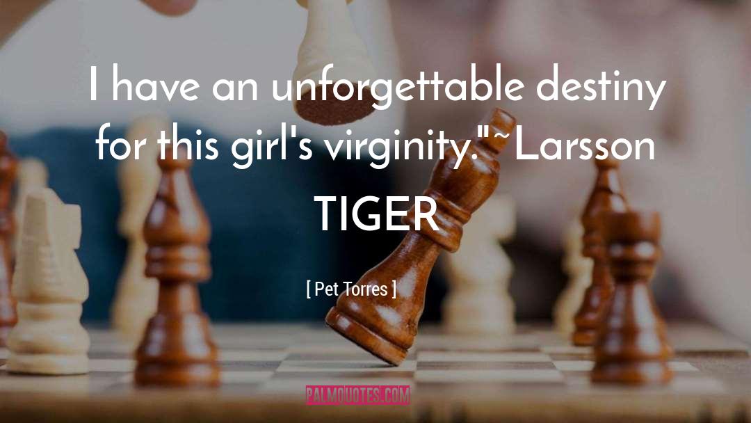 Feminist Fantasy quotes by Pet Torres