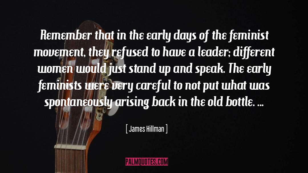 Feminist History quotes by James Hillman