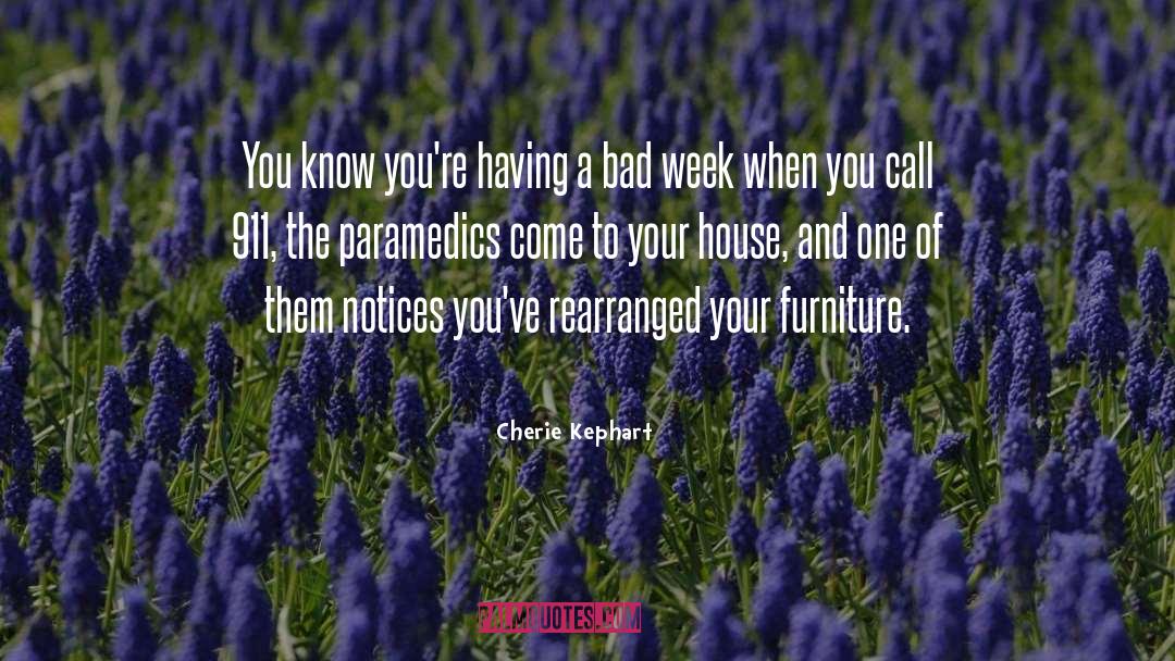 Feminist Memoir quotes by Cherie Kephart