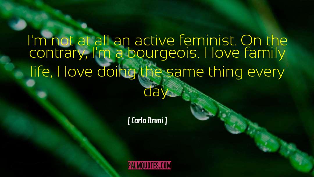 Feminist Movement quotes by Carla Bruni