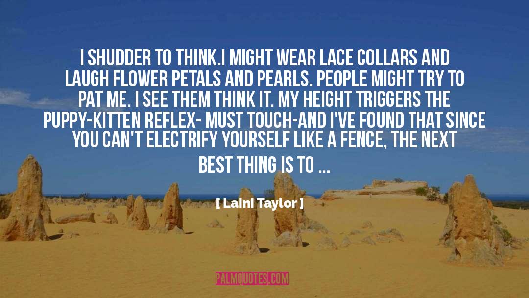 Fence quotes by Laini Taylor