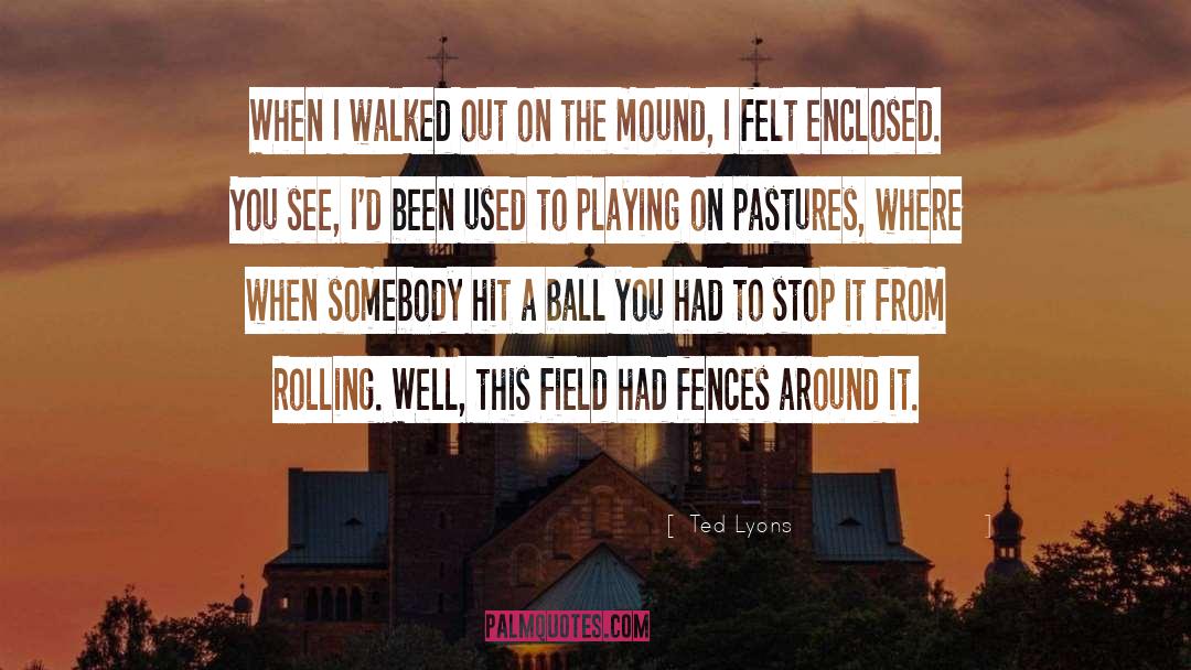 Fences quotes by Ted Lyons